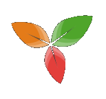 Trilium icon